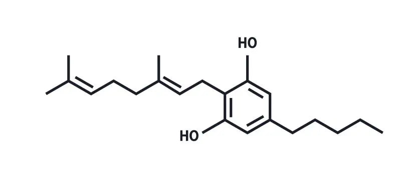 CBG et endométriose : un nouvel espoir