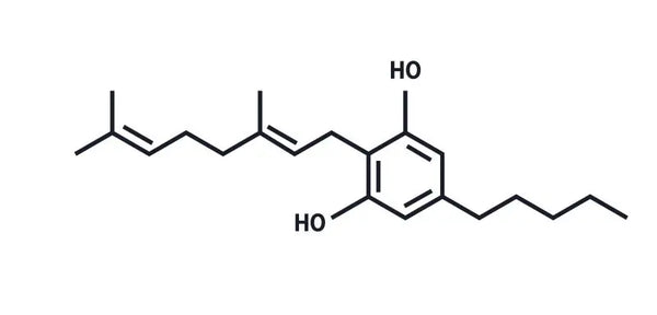 CBG et endométriose : un nouvel espoir